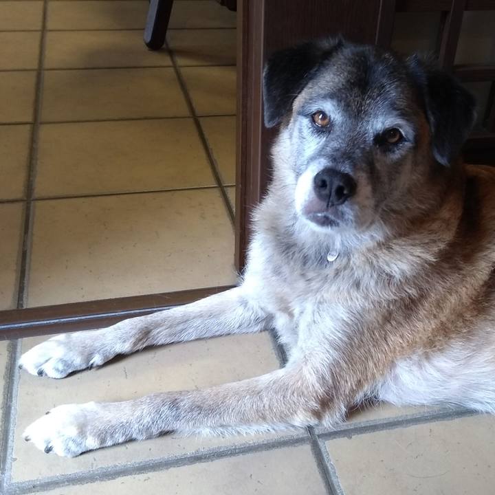 79b29066 1cbf 47c8 a335 9aea67963c35 1569714866527