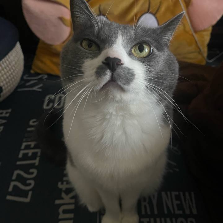 79b2907e 3f17 4237 a530 f8e806e47b64 1735620168004