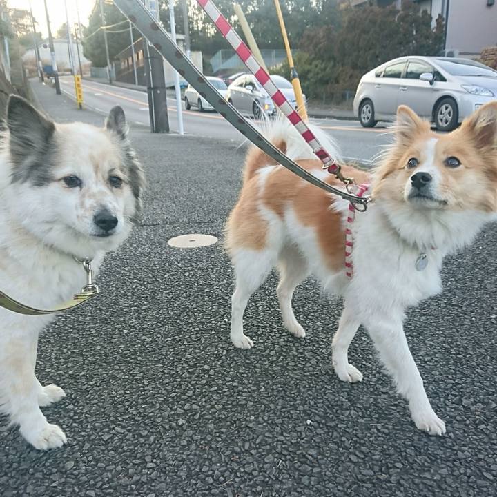 79b2a6eb 661b 431b ba0e 0c2cbf8dd137 1549110893862