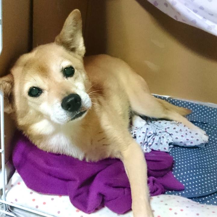 79b2b004 6cce 4c38 87c1 653307120c39 1618320727883