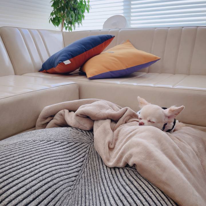 79b2b2fa 97a1 4feb 989b 6c06fa036868 1755647654300