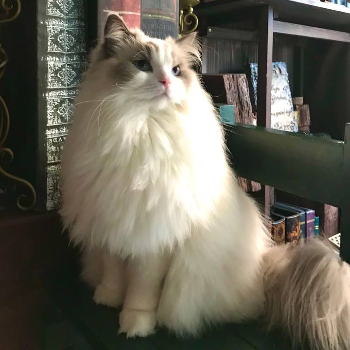 79b2e02b 0c5d 4541 8a22 3ff7ceb96c46 1614953798220