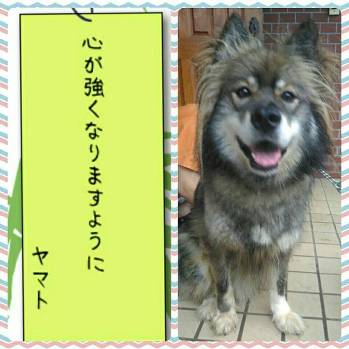 79b31e60 add9 4d69 9806 dc8c82054b2a 1530967391820