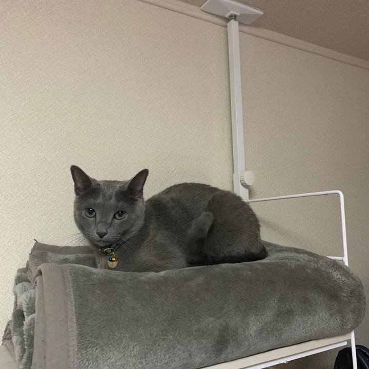 79b32484 1631 434e a309 af601d1ed415 1631791622485