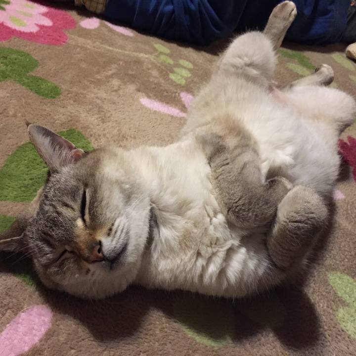 79b35a6e b167 44c8 8108 36e01c949b8e 1518263835001