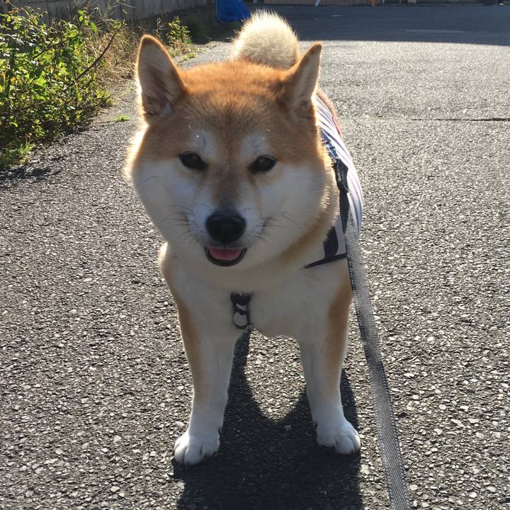 79b35b5e ebe6 41e1 8c1b 6c9acb93a281 1543467646844