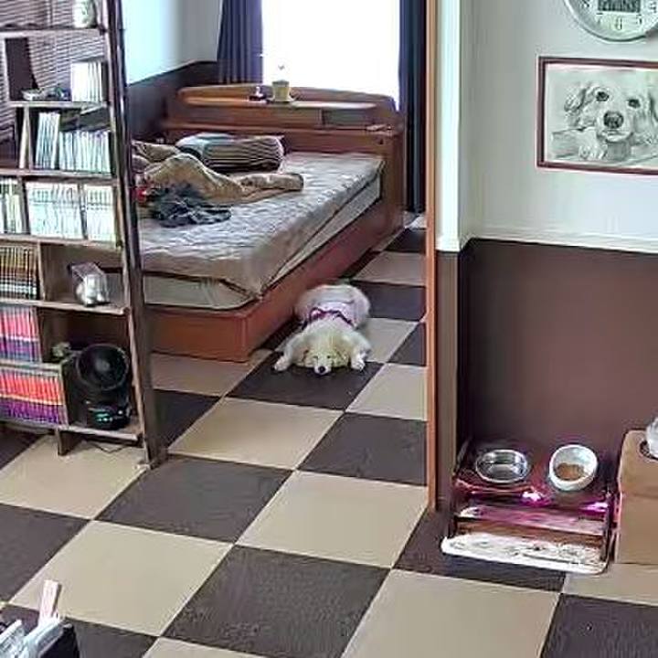 79b35f7a f4af 4a76 9e2b fd56cc7c13fa 1718336533068