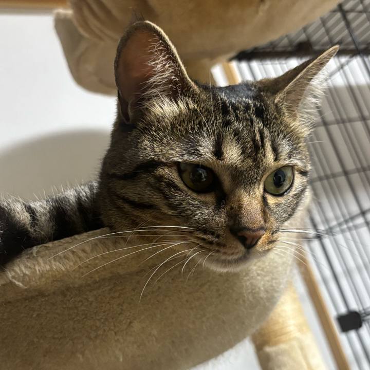 79b37678 01df 4375 9b0a 19dc02099dad 1755820257048