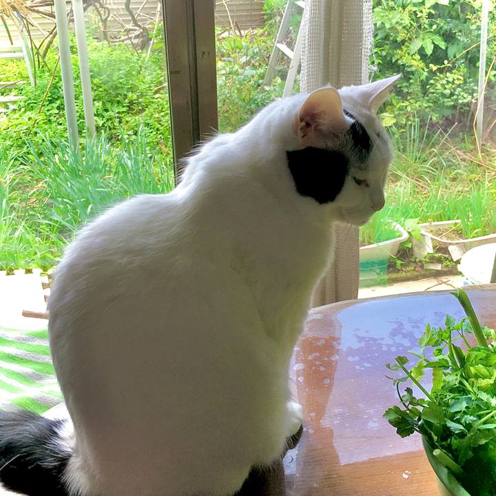 79b37885 3826 43d5 8feb 0bcec87eaa4f 1619834358532