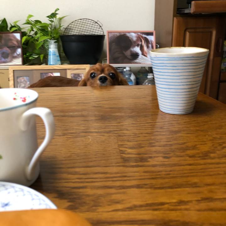 79b38c73 d15b 4a66 90e3 a809ae968413 1564957761052