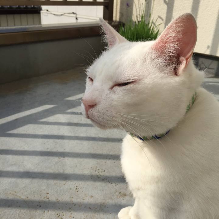 79b3db3e 2938 4f8a b3a5 633186fbea5b 1524954829879