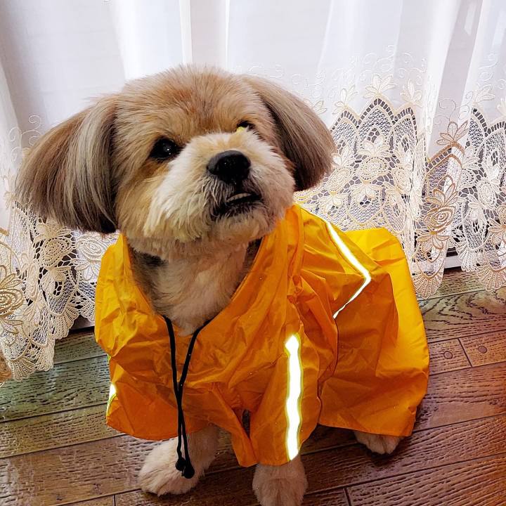 79b3ebeb e02a 45f7 890b d1e5b0f575b6 1626937988025