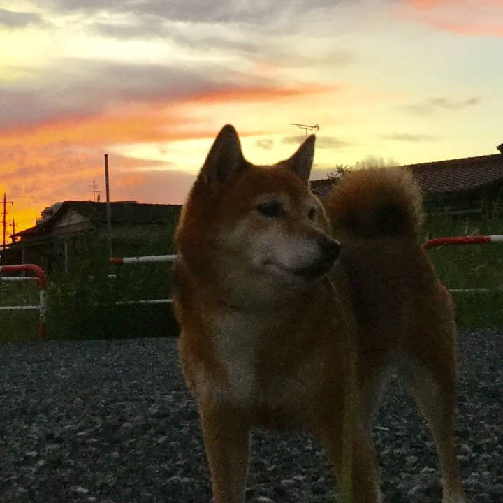 79b3f4aa faae 489f 9c02 67fbb3960fb1 1569230106568