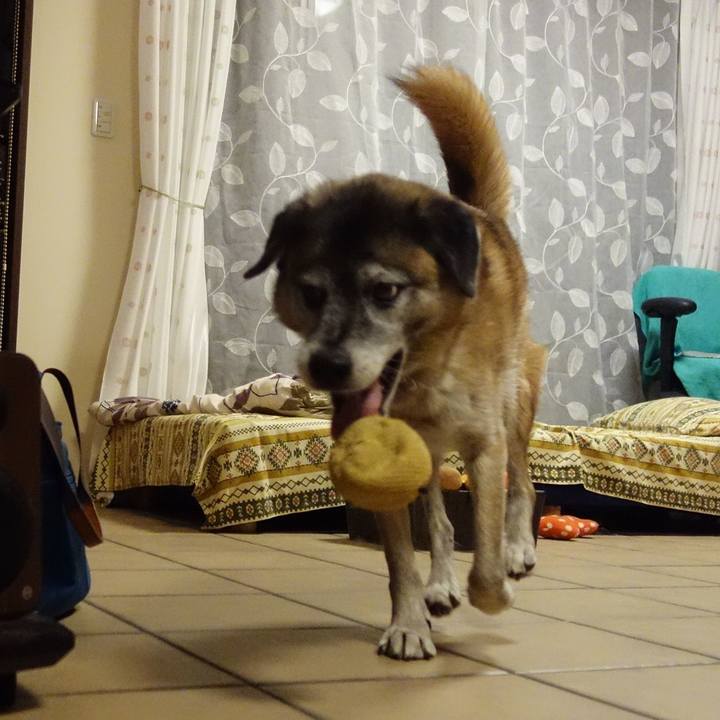 79b407b5 71a9 4ffb 9b7d f8f3f675cdeb 1568989353236