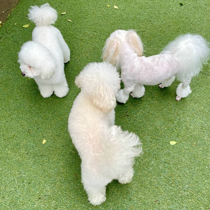 79b424b0 5418 45a0 887f 9bdefa3b383b 1625301827540