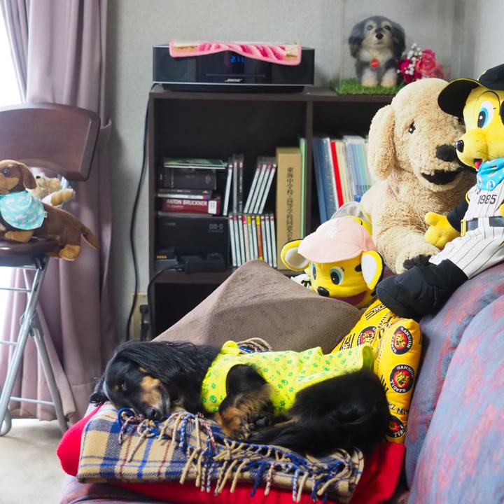 79b42d28 0e30 4566 bd99 8140885ca2ef 1624698571074