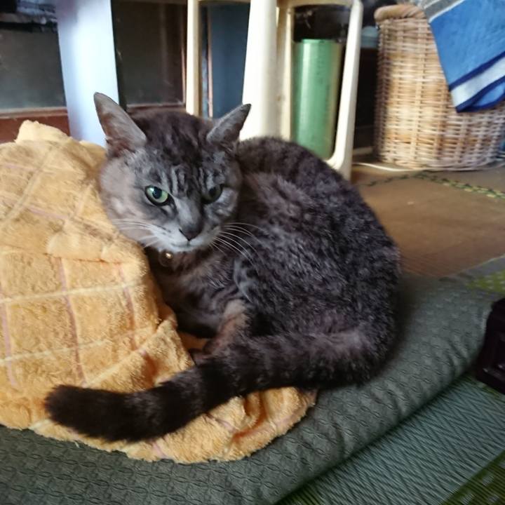 79b4627e ed58 40bc 8dda 71a7fc917fc6 1593421820538