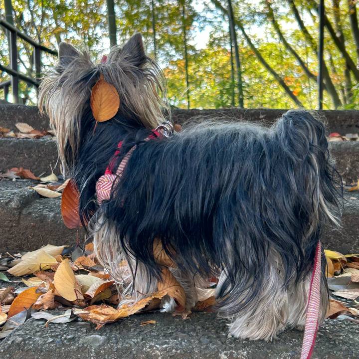 79b47bf2 4ef1 466d ba51 2f1ccef29a79 1668219739591