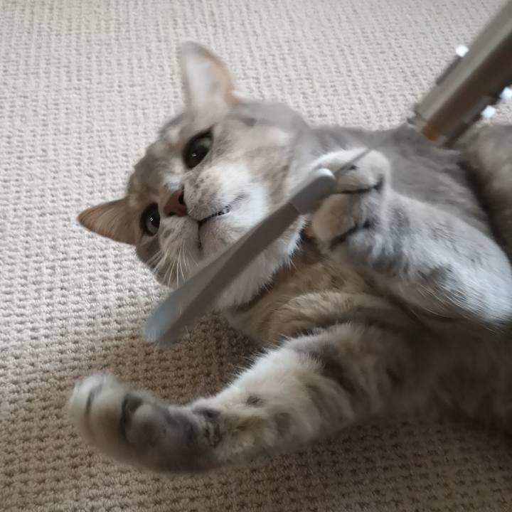 79b47e3f cdda 432a bd8d 8068f4852ec6 1567210025330