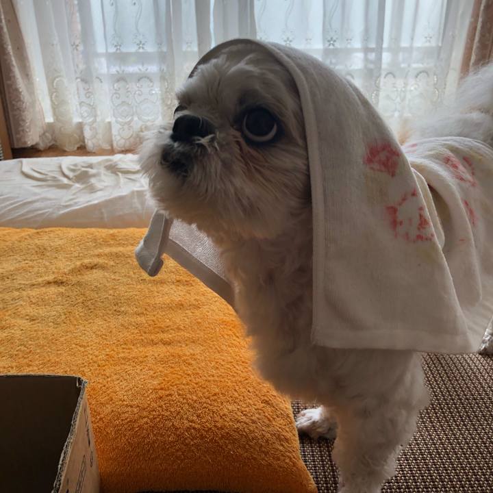 79b4accc da2b 49f9 af66 270ce253ba30 1595723589980