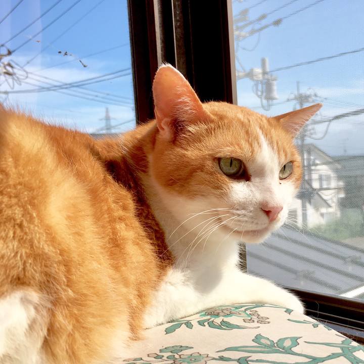 79b4c958 6e2d 478f a78b 45c4adb559f9 1565669052698