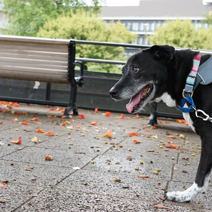 79b4e128 3a58 4f71 b7eb cce4720de3a6 1757635317790