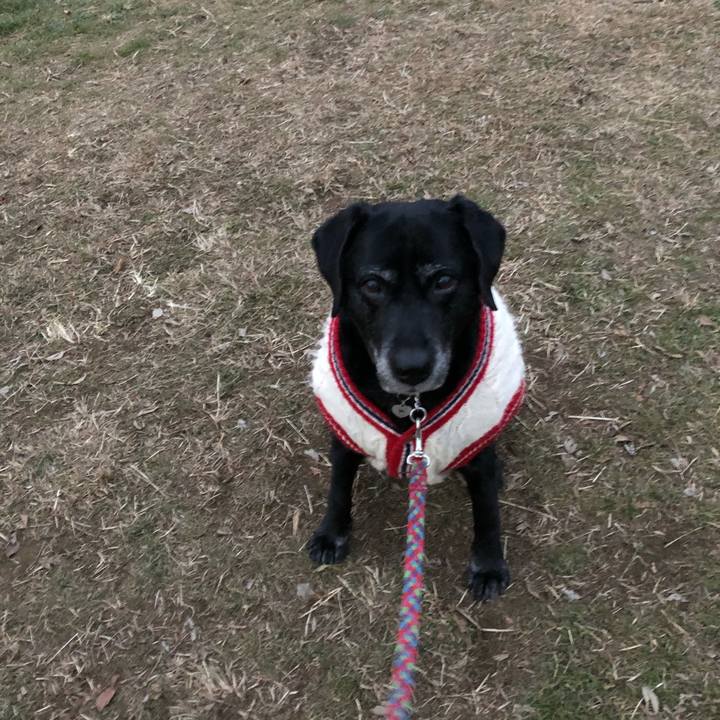 79b4e342 9625 45da b88c 18e561723937 1609940917871