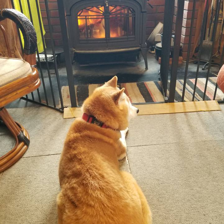 79b52233 b89b 43aa b889 c84f23480520 1741650183878