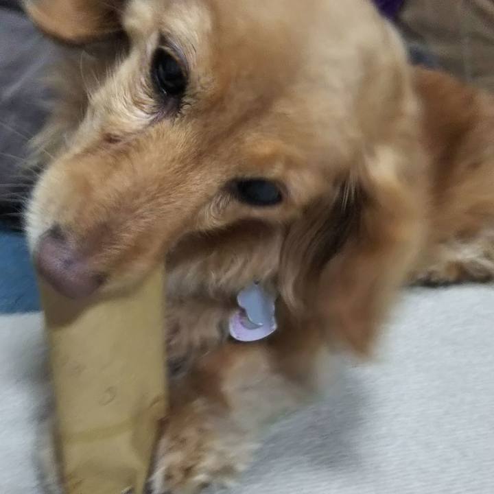 79b5840b 1c1c 4ebf 8369 423968c7b927 1587506670771