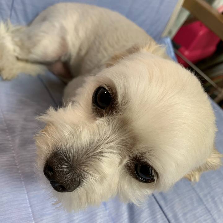 79b5a64a 11a6 4453 ae57 baa5d5422360 1567946031577