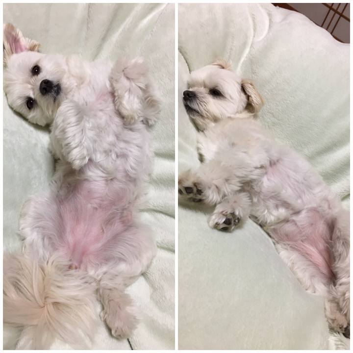 79b5c550 36f6 4513 88c7 51f8f01b1577 1554030117029