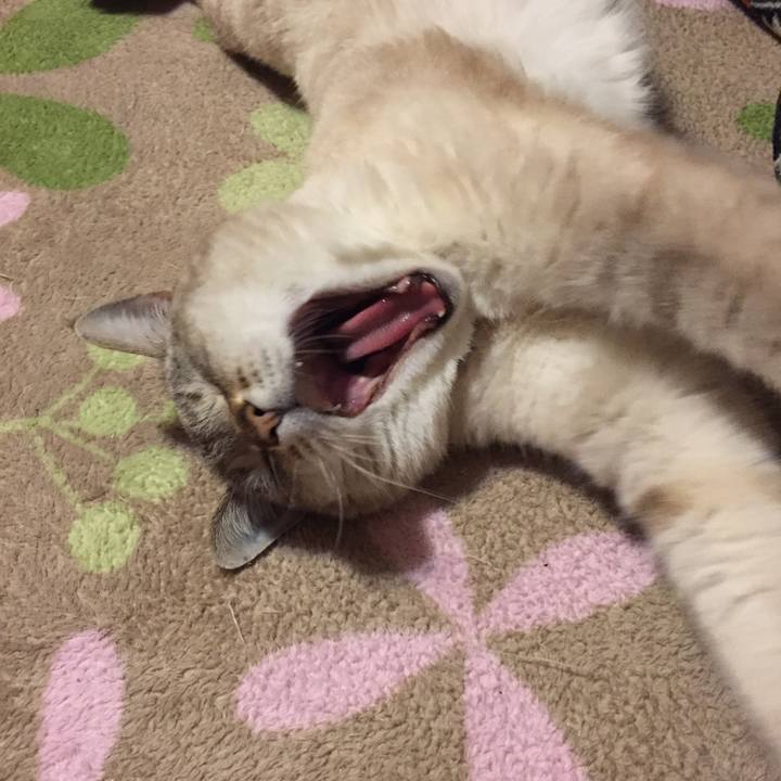 79b5d66a eafa 4775 a198 b6cdab25253c 1518958643282