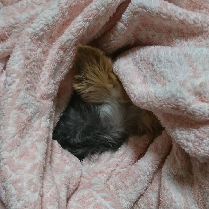 79b5dc8d 8089 4a13 91d0 375c45e00b7a 1543143465880