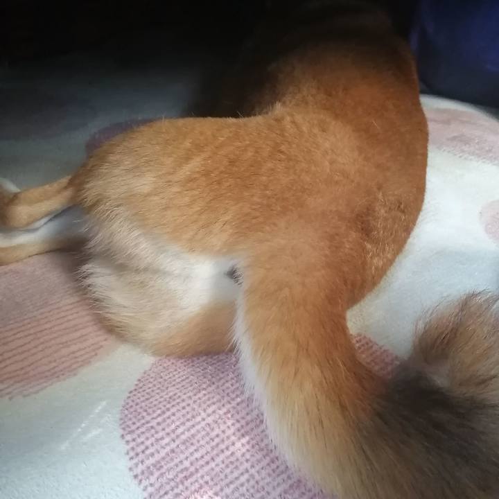 79b5dedb 74e1 46fe 8e92 195ad6644e80 1641257860447