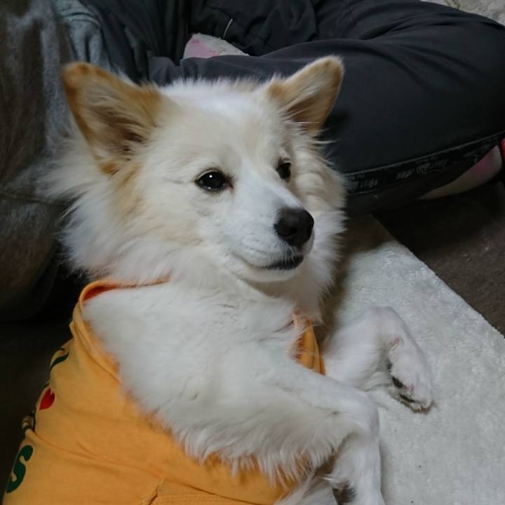 79b6213d 6713 4abe 8ce2 c47244047ad2 1514935799430