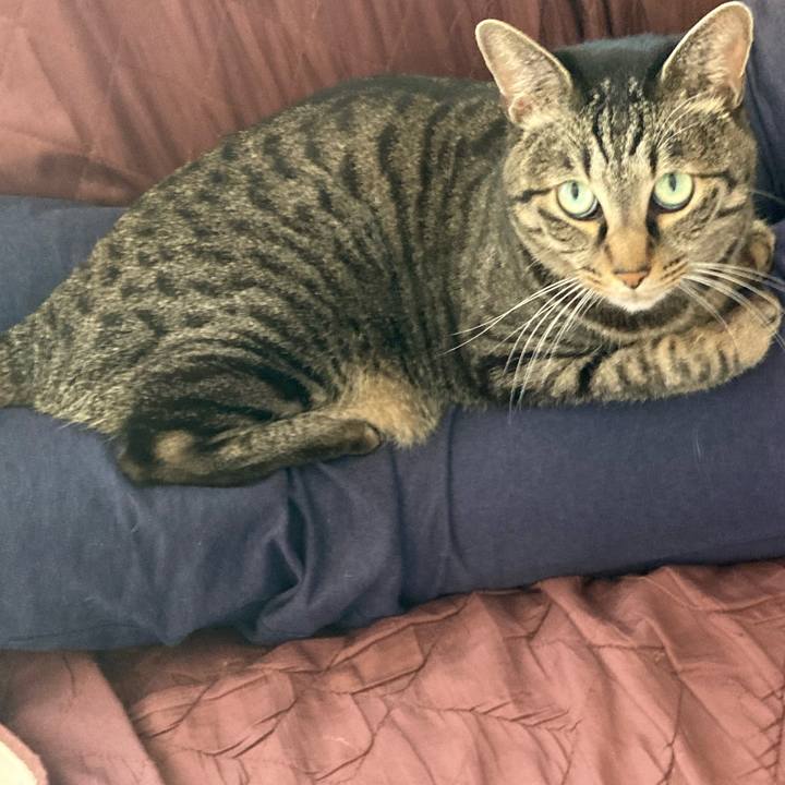 79b635b9 03b0 4315 b16b 6f87c001d46c 1613911973732