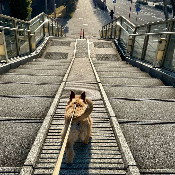 79b649f9 71fc 465f 85c2 dfdf0476b7cb 1710979236541