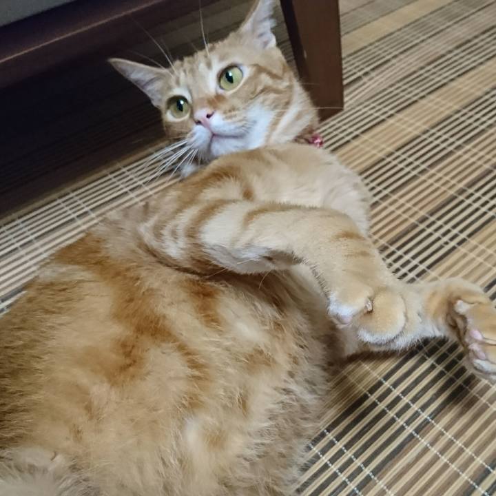 79b67c1d 7b42 483b 940e e592ed1e2736 1508043125522