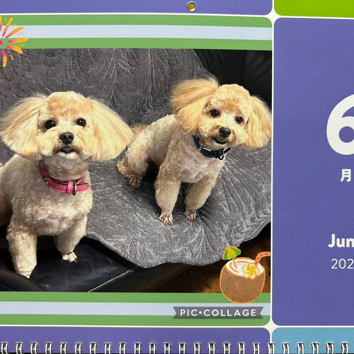 79b680db 5edd 458f b699 41b6d8257877 1748776550303