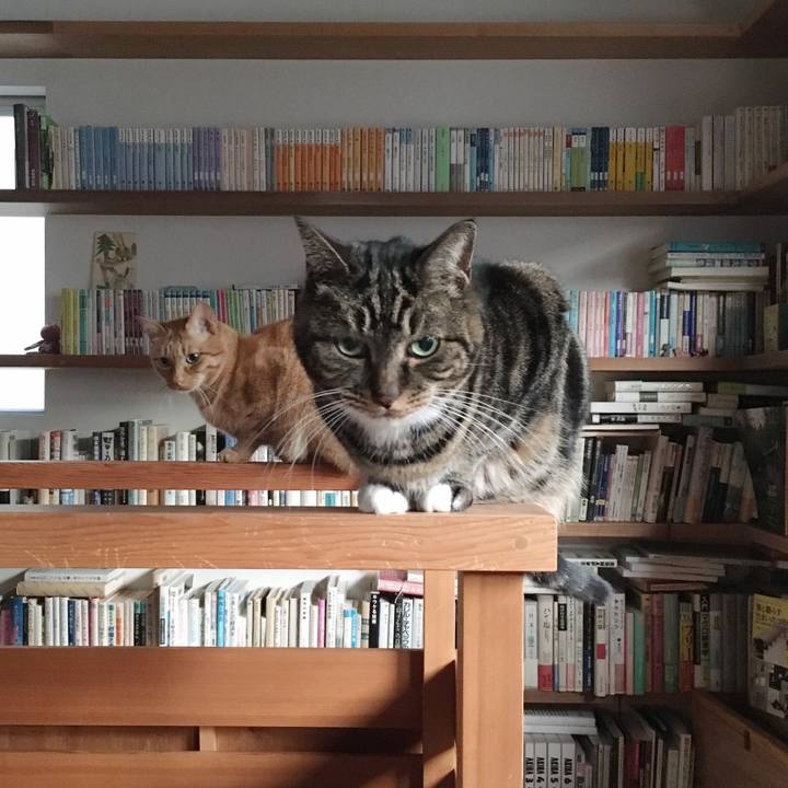 79b69c91 53a1 454f bc7c 47a9c1658dba 1576883637368