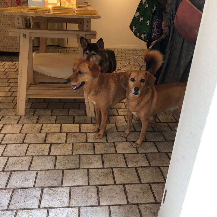 79b69e14 2250 43f6 9c6e 1f428757a932 1572156714465