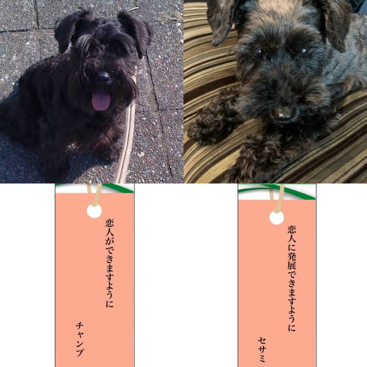 79b6c36f 2ac4 47da 8f14 9cda3adcd752 1657188765336