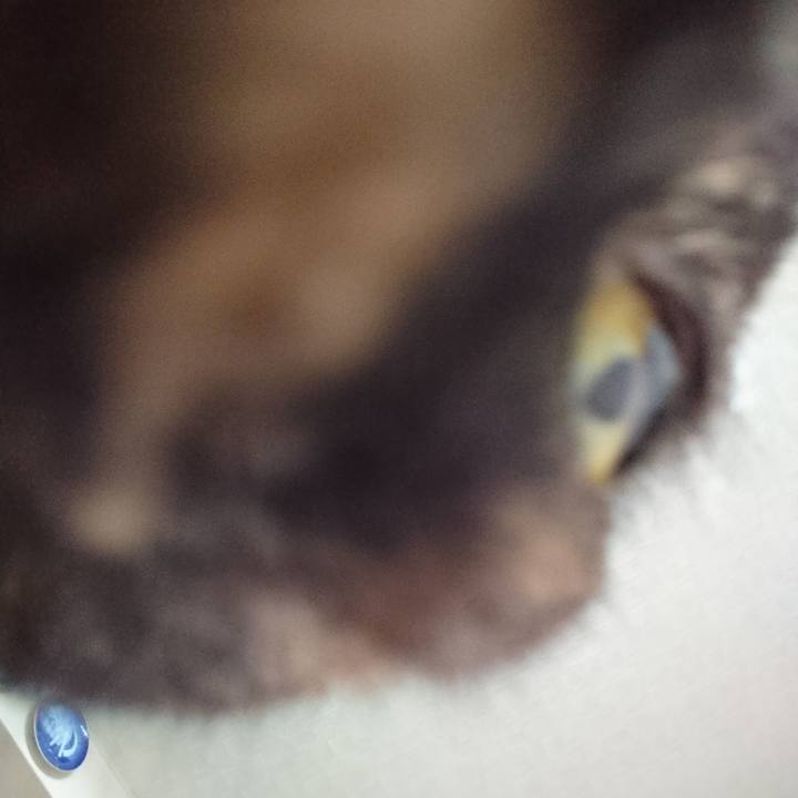 79b6da43 0fc7 4417 896f 4af2c902889a 1603159741288