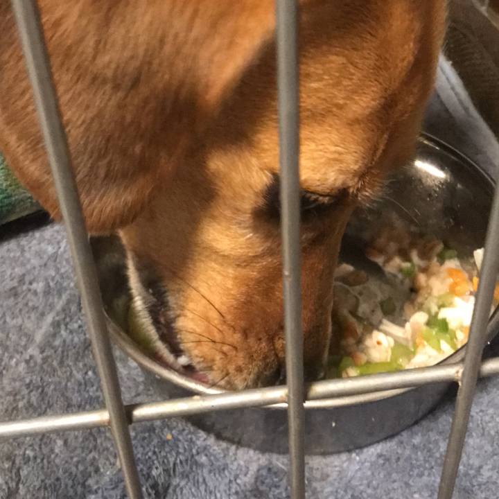 79b70f00 e9b9 4f9e 9788 7476c73409de 1555414886342