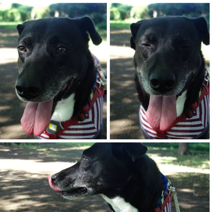 79b75f7d e861 4409 83d6 34d596b03ecd 1686964968275