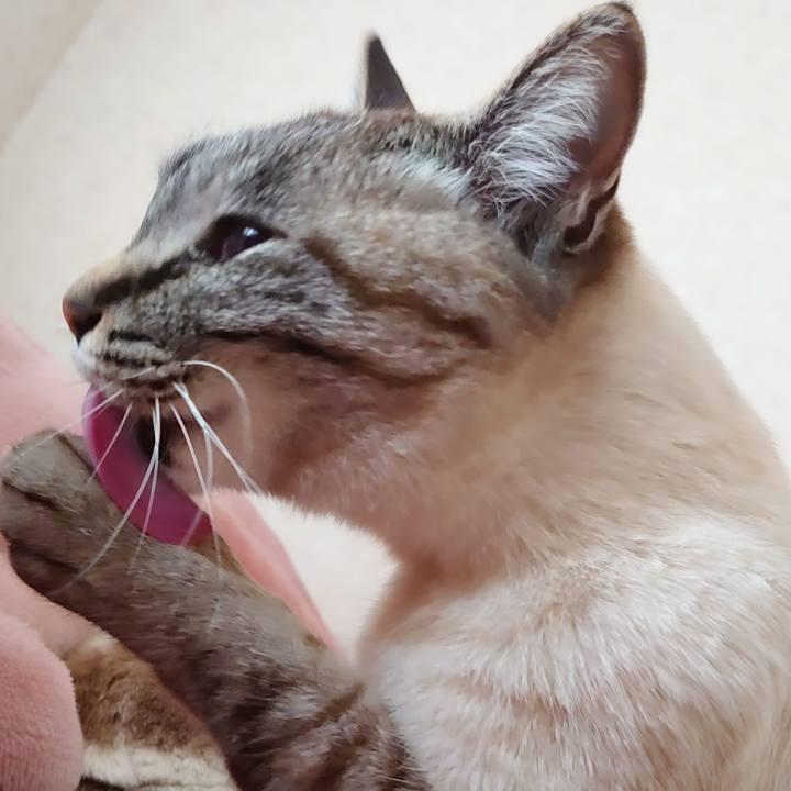 79b760f2 091d 42cc a00b 373e20d0fe5b 1644718968994