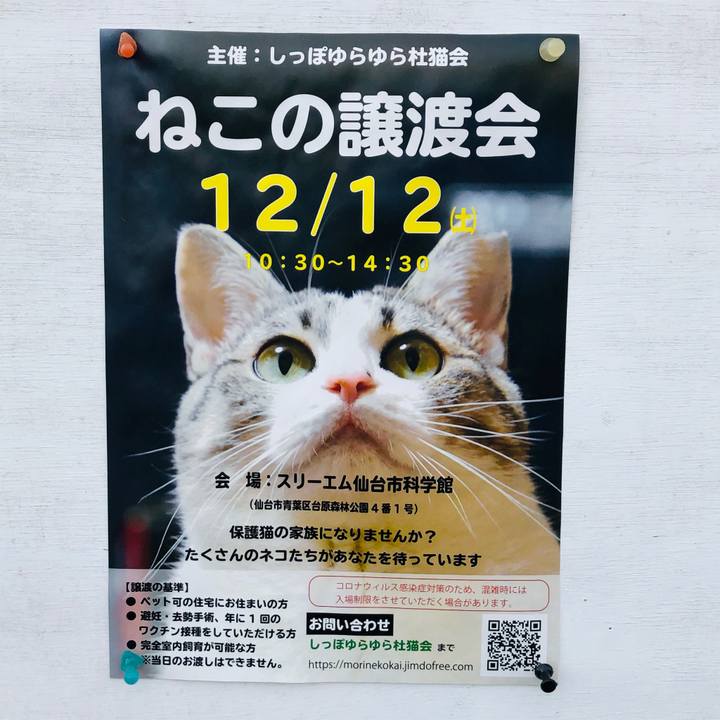 79b76c19 8b08 4842 be0f e9c55807eabd 1607089744872