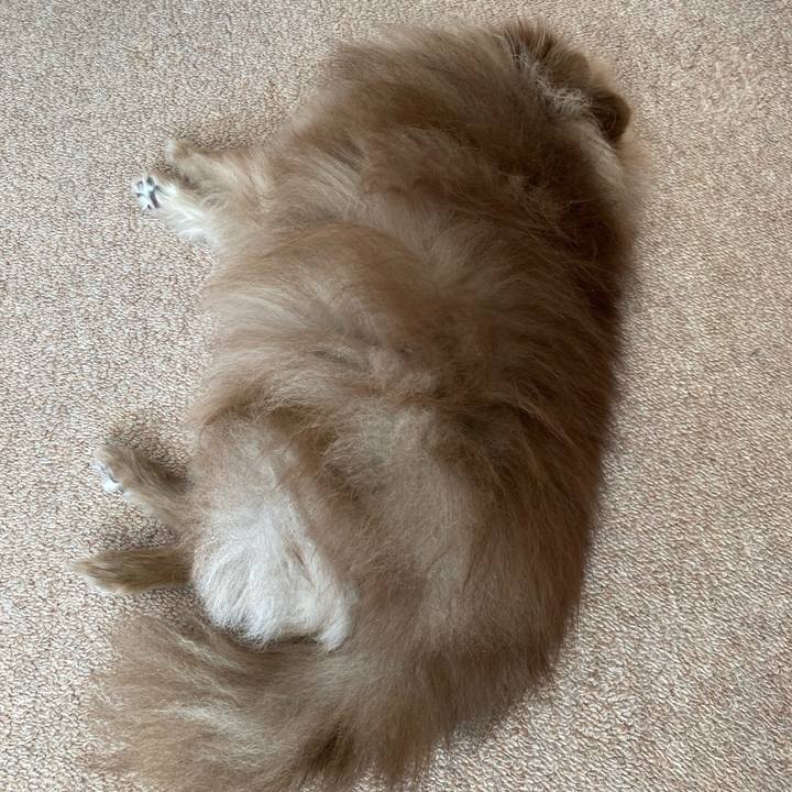 79b76ce7 3ce4 404a aa56 5a43068831cc 1677142002139