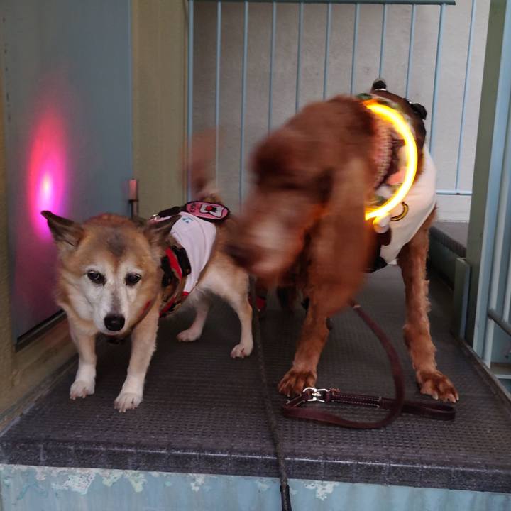 79b76fbb dff0 44ec 98e1 281d8440038a 1713699530185