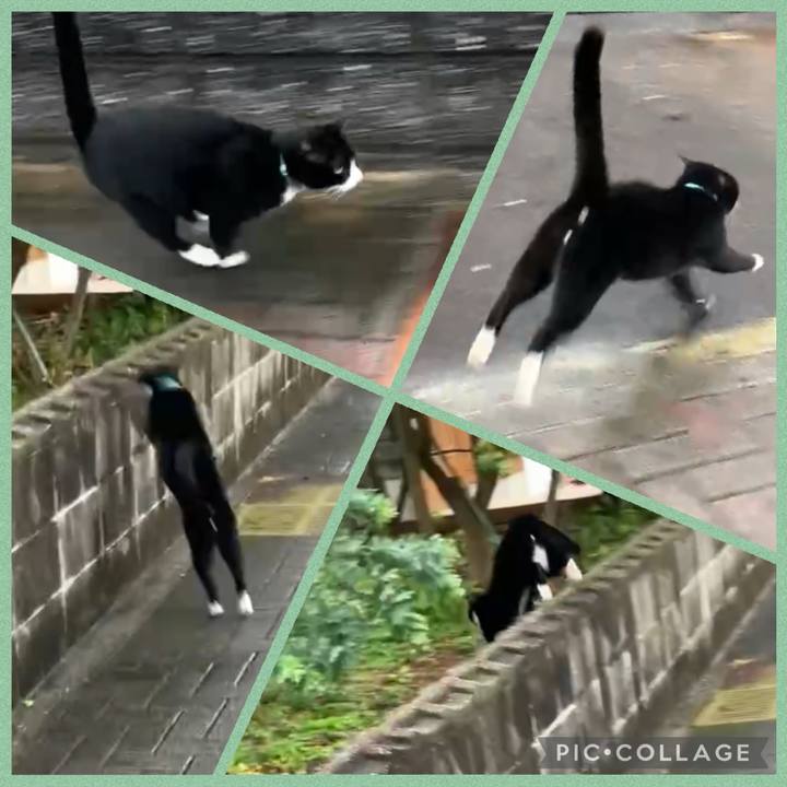 79b77166 3160 40ed 8e8e 9f4bdbb1baff 1732677377509